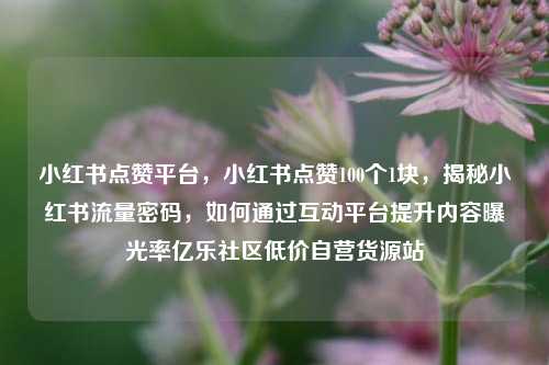 小红书点赞平台，小红书点赞100个1块	，揭秘小红书流量密码，如何通过互动平台提升内容曝光率亿乐社区低价自营货源站  第1张